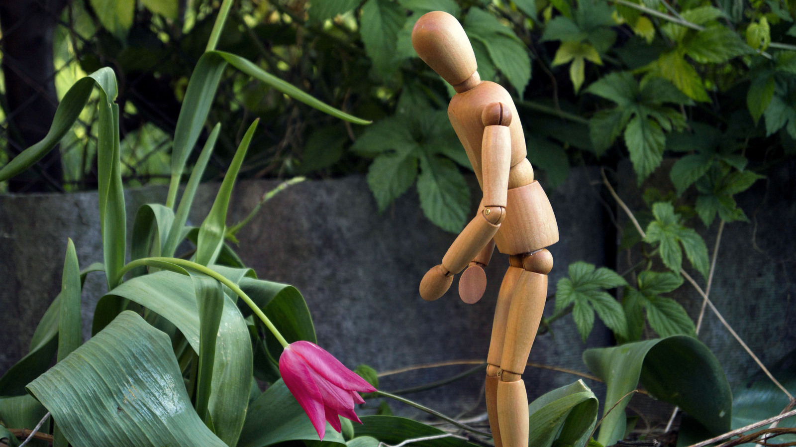 Wood. - My, Flowers, The photo, Longpost, Figurines, IKEA