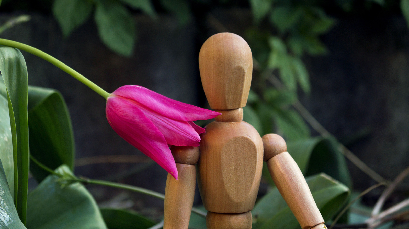 Wood. - My, Flowers, The photo, Longpost, Figurines, IKEA