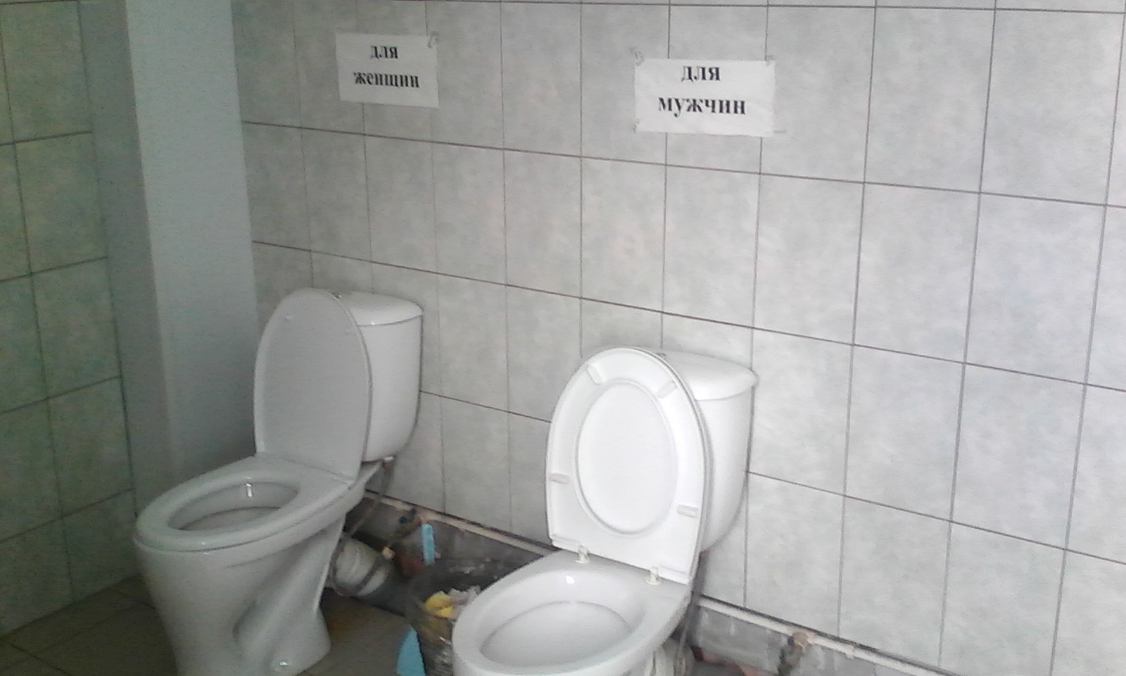 Here is a separate toilet - My, Toilet, The photo