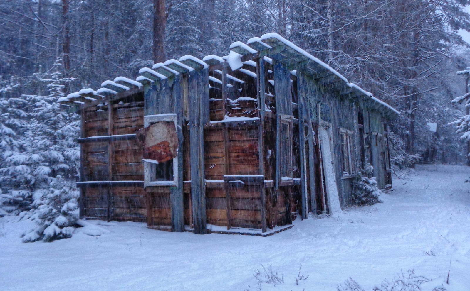 Abandoned children's camp Zorka - My, Urbanturizm, Abandoned, Nature, Republic of Belarus, Orsha, Back to USSR, Collapse of the USSR, 1998, Longpost, Urbanturism