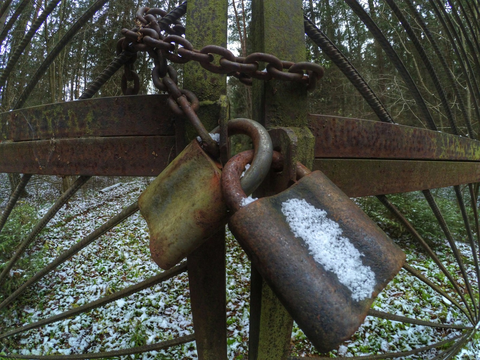 Abandoned children's camp Zorka - My, Urbanturizm, Abandoned, Nature, Republic of Belarus, Orsha, Back to USSR, Collapse of the USSR, 1998, Longpost, Urbanturism