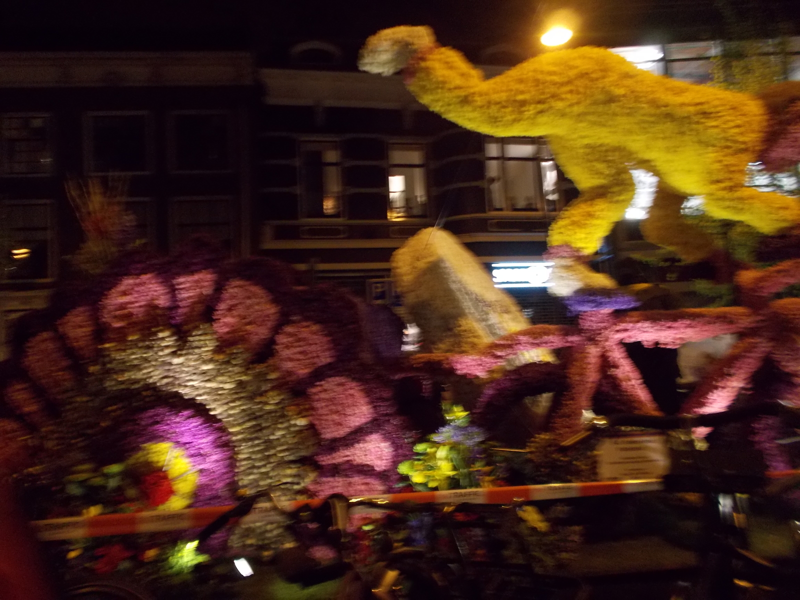 Flower parade in Haarlem - My, Parade, Holland, , Tulips, Flowers, Longpost, Netherlands (Holland)