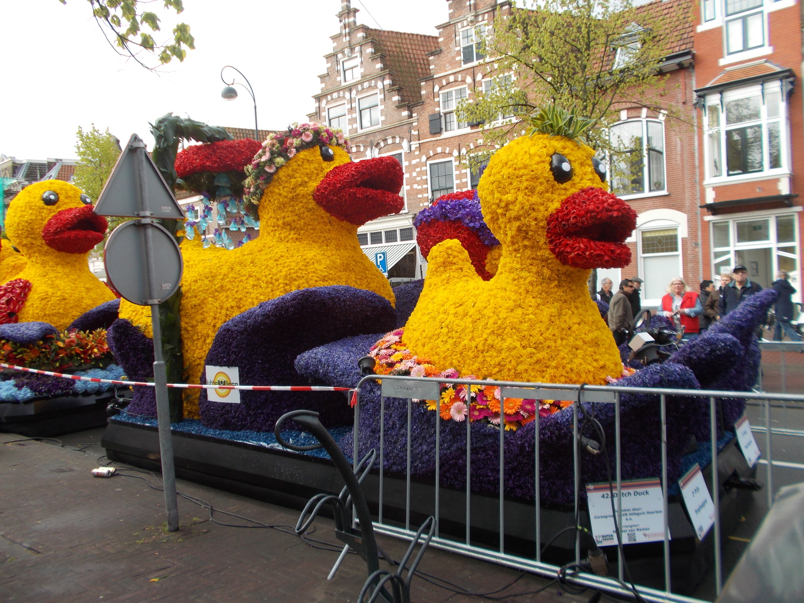 Flower parade in Haarlem - My, Parade, Holland, , Tulips, Flowers, Longpost, Netherlands (Holland)