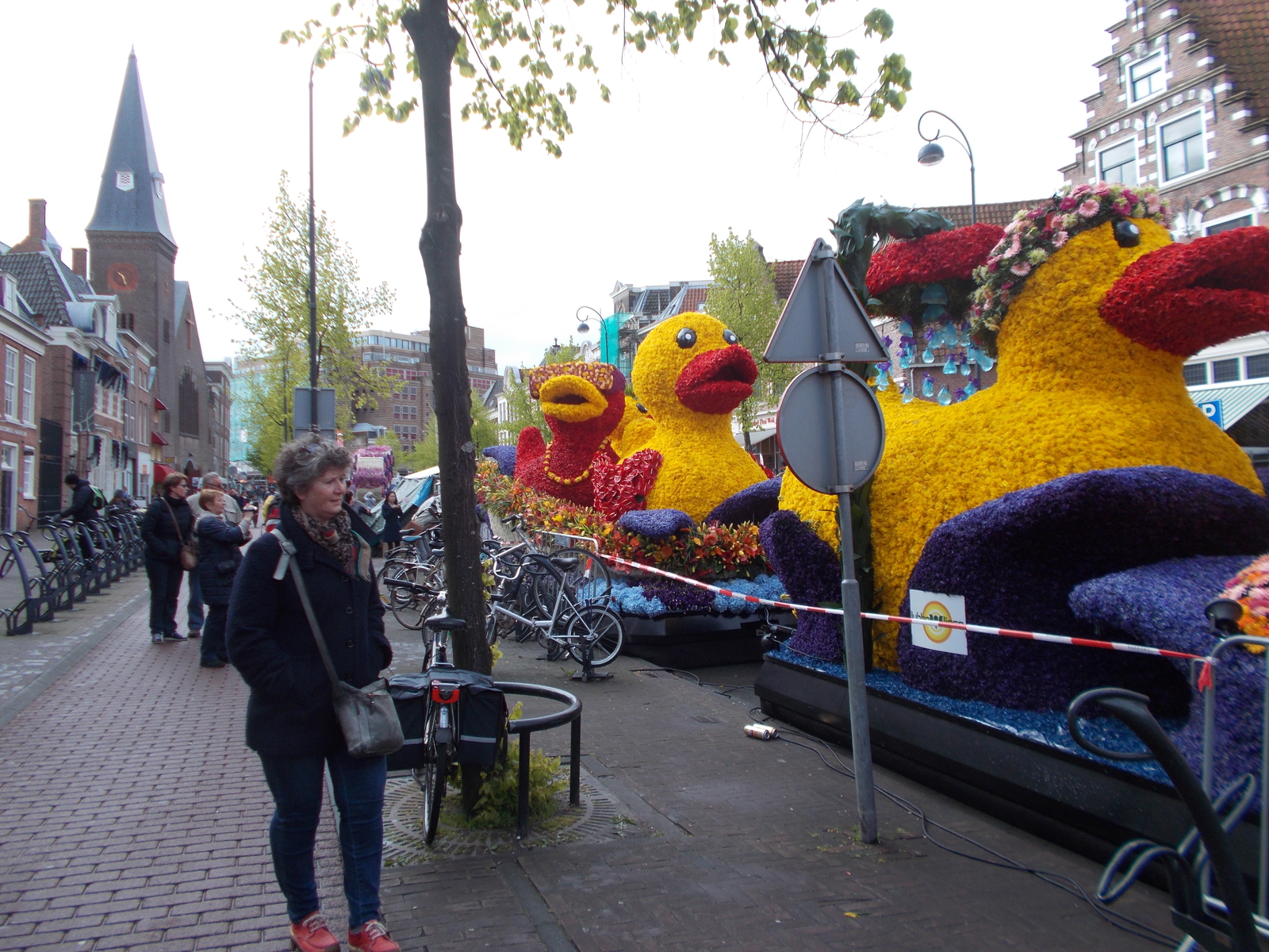 Flower parade in Haarlem - My, Parade, Holland, , Tulips, Flowers, Longpost, Netherlands (Holland)