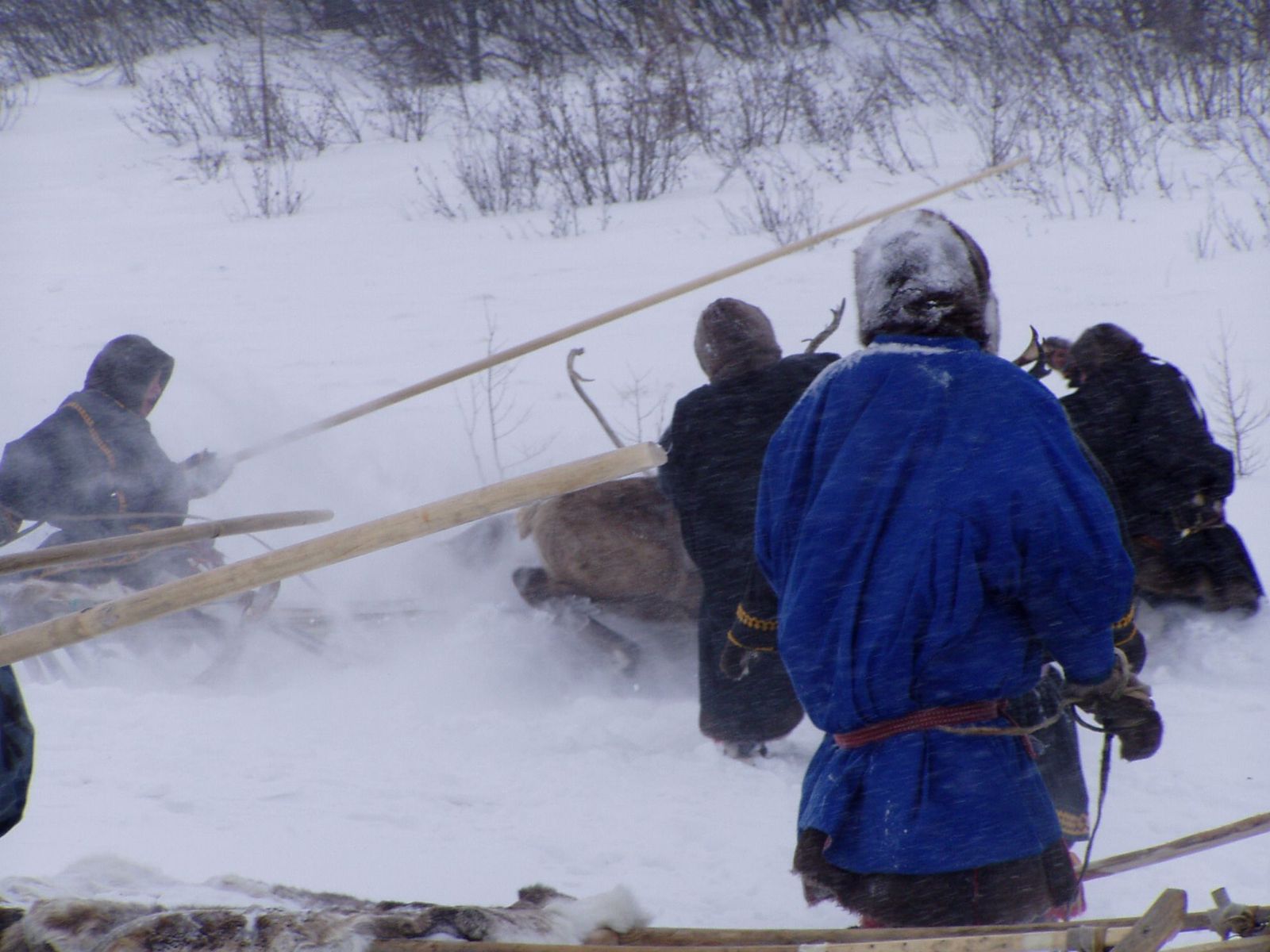 Wedding in the tundra - 2 - My, Yamal, Wedding, Tundra, Longpost