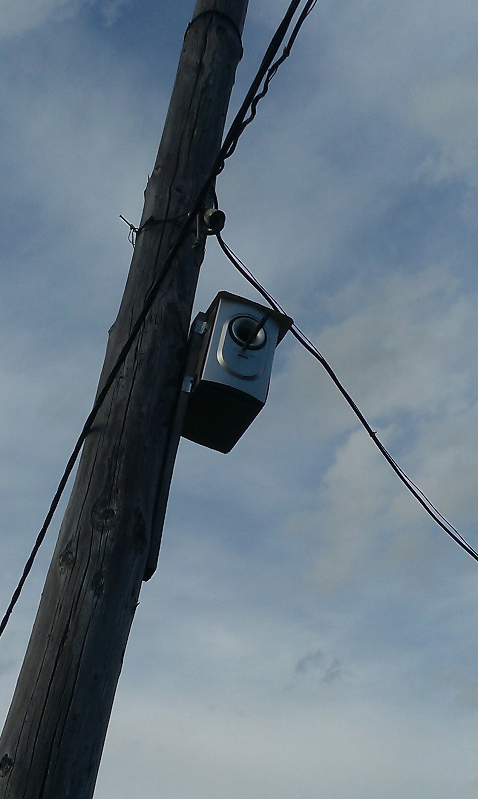 Music lover's bird house - My, Village, Subwoofer, Birds, Birdhouse