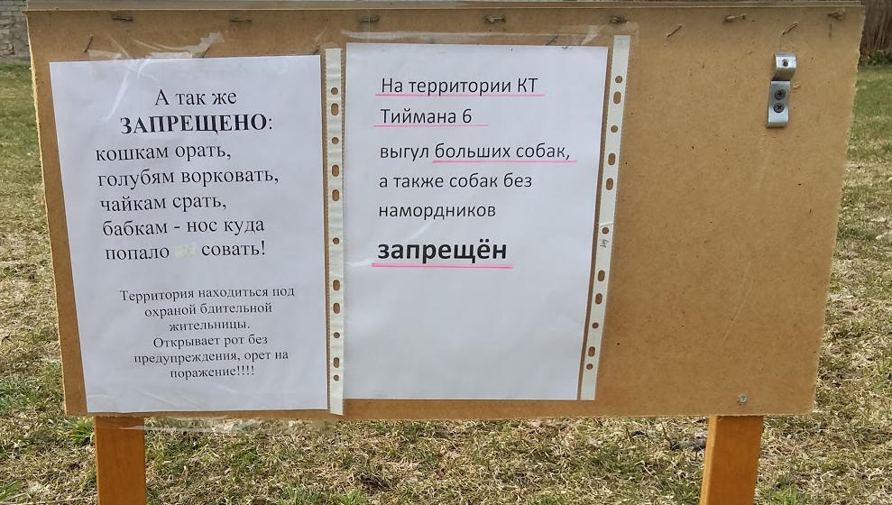 Надоели! | Пикабу