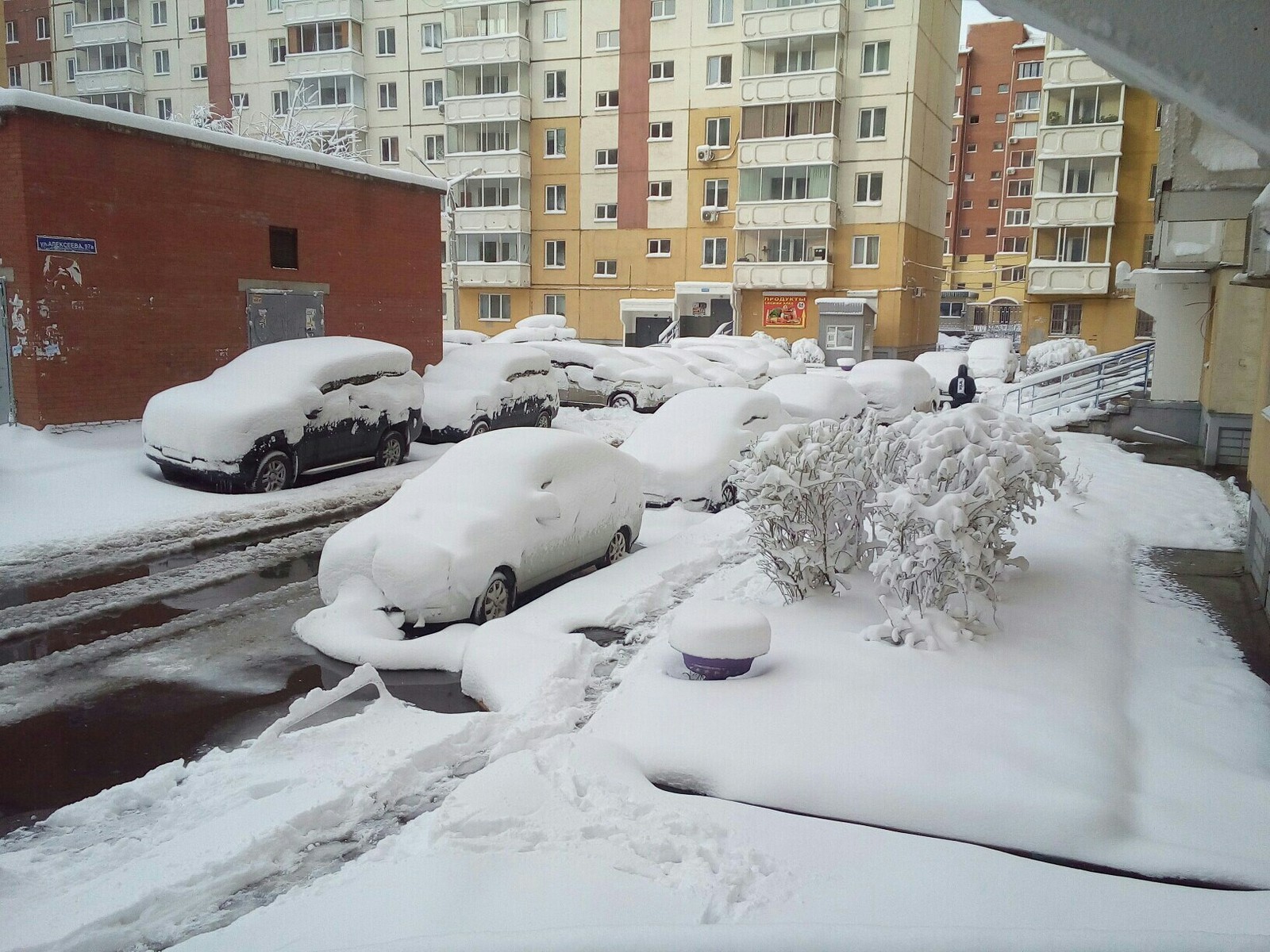 Roast on May 2 in Krasnoyarsk. - My, Spring, Snow, Krasnoyarsk, Suddenly, Like snow on your head, What a twist, Longpost