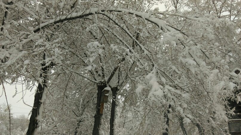 Красноярск сегодня утром... | Пикабу