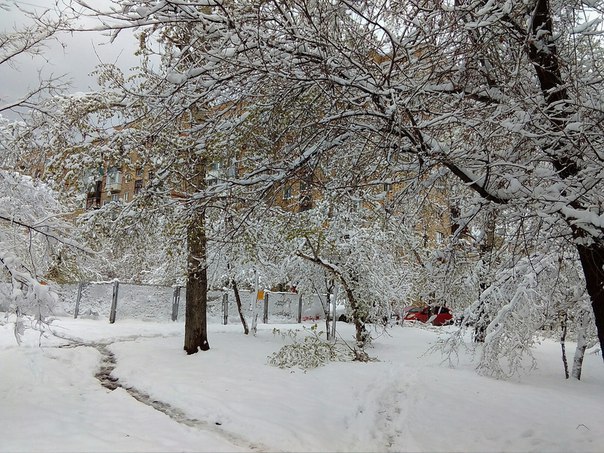 May 3 in Krasnoyarsk. - My, Nature, May, Snow, Cold, The photo, Longpost