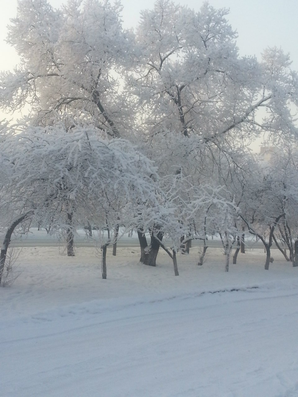 May 3 in Krasnoyarsk. - My, Nature, May, Snow, Cold, The photo, Longpost