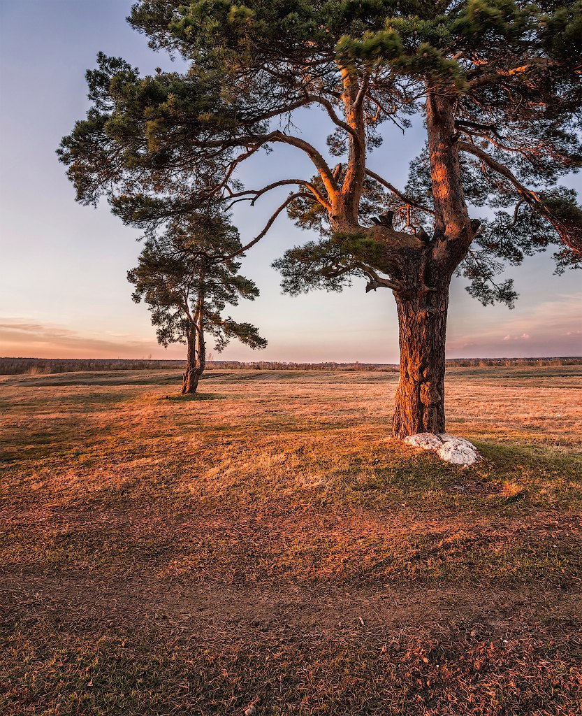 Tyumen Oblast - Tyumen region, Russia, Evening, The photo, Nature, Landscape, Summer, Longpost