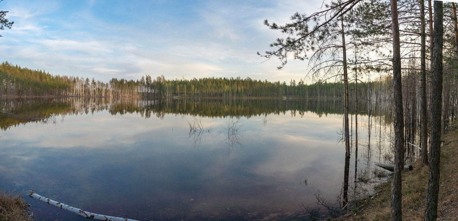 Izyary in May - My, Chuvashia, Zavolzhye, Lake, Landscape, May, Longpost