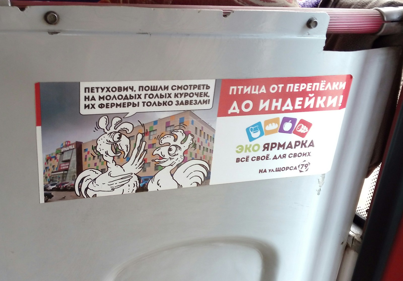 Оригинальная реклама в автобусе | Пикабу