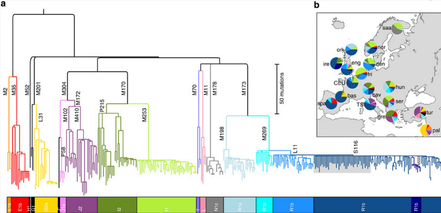 Genetics: Changes in Europe in the Neolithic and Bronze Ages - Haplogroup, Genetics, Migration, Europe, Lionel Messi, Bronze Age, Lev Klein, Population, Longpost