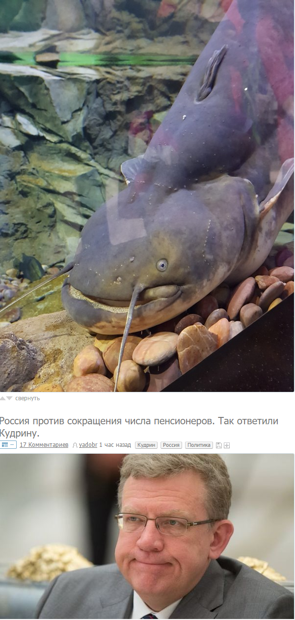 Double Kudrin - Images, Alexey Kudrin, Catfish