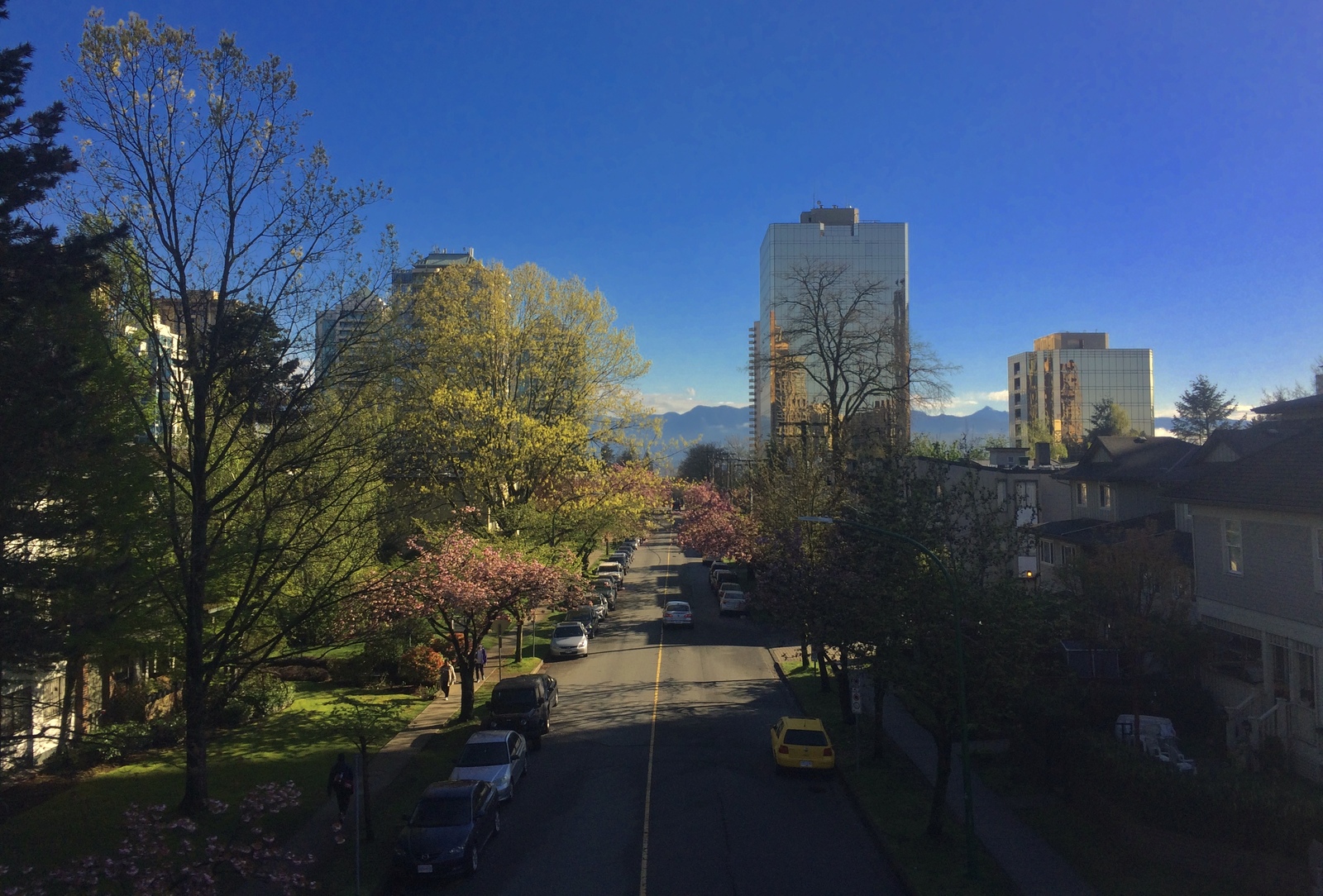 Spring Vancouver - My, Canada, Vancouver, Spring, Town, House, The street, Road, Longpost