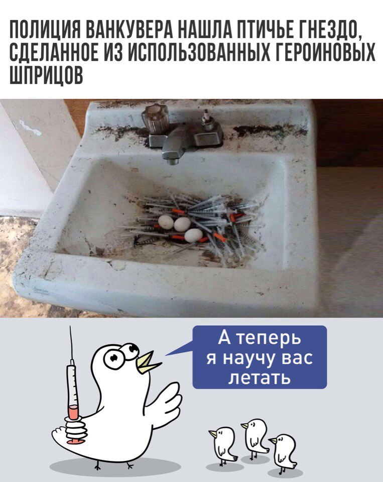 Гнездо | Пикабу