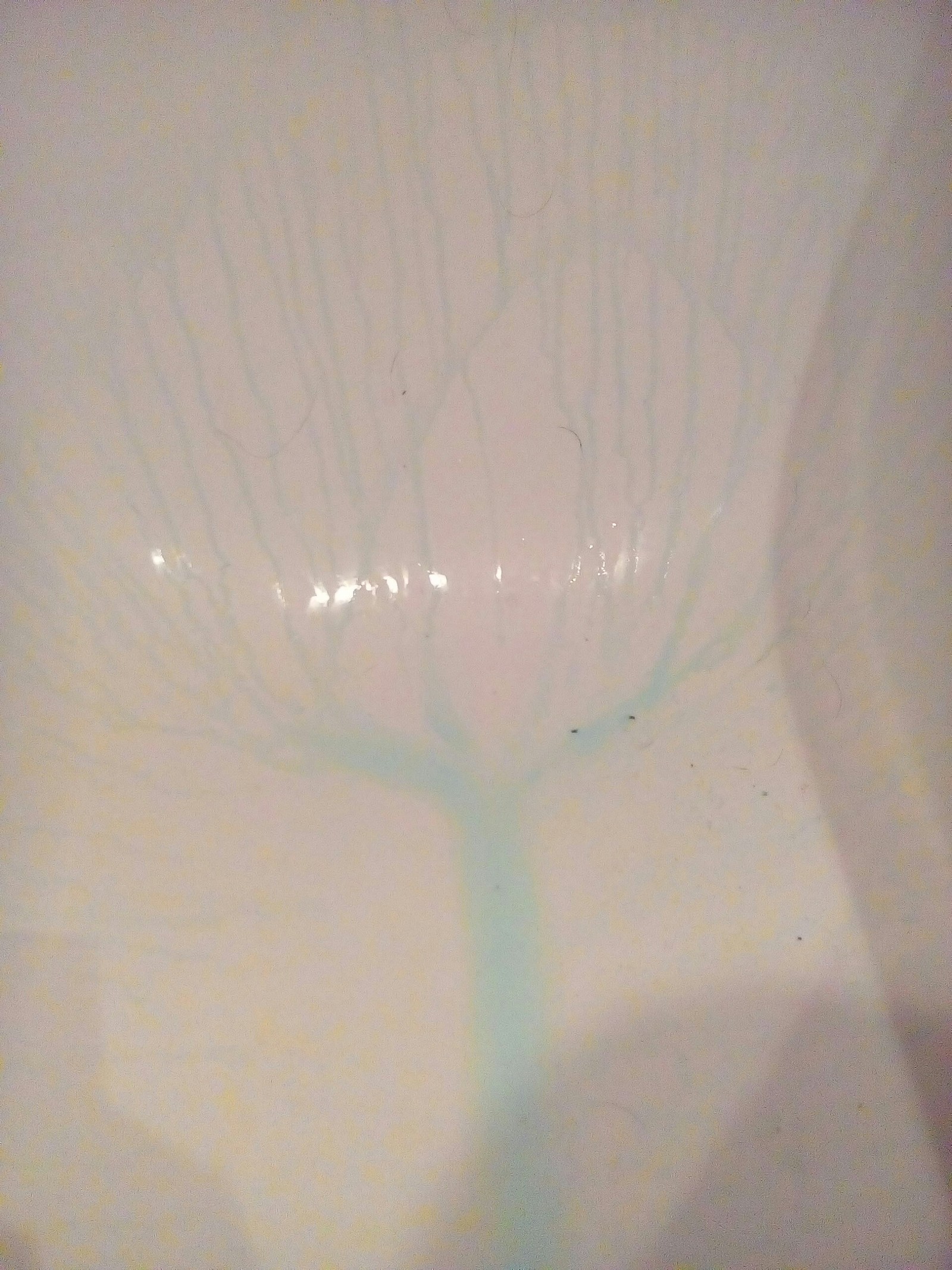 When he wanted to clean the bath, but received the tree of Gondor. - Lord of the Rings, Cleaning, Rukozhop, Longpost