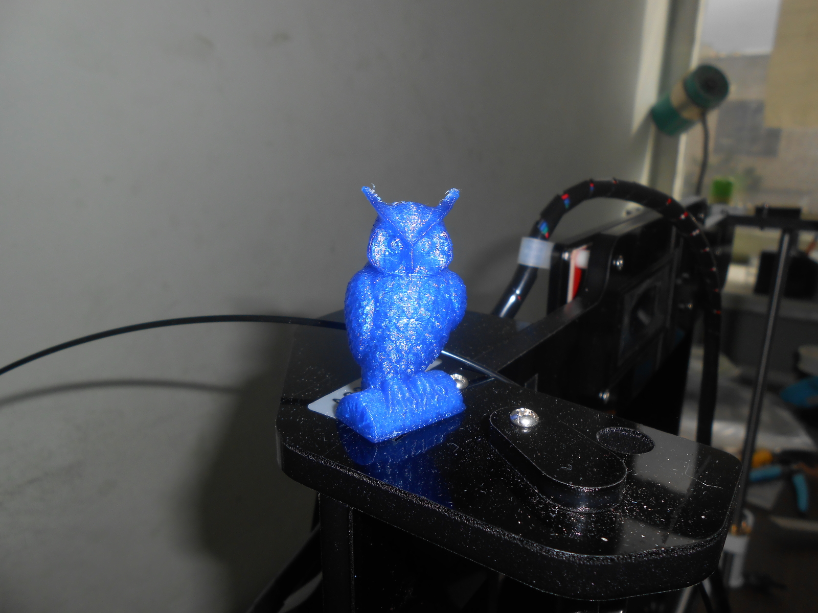 A wonderful neighbor settled in our house! - My, Anet A8, 3D printer, , 3D печать, Longpost, Technobrother