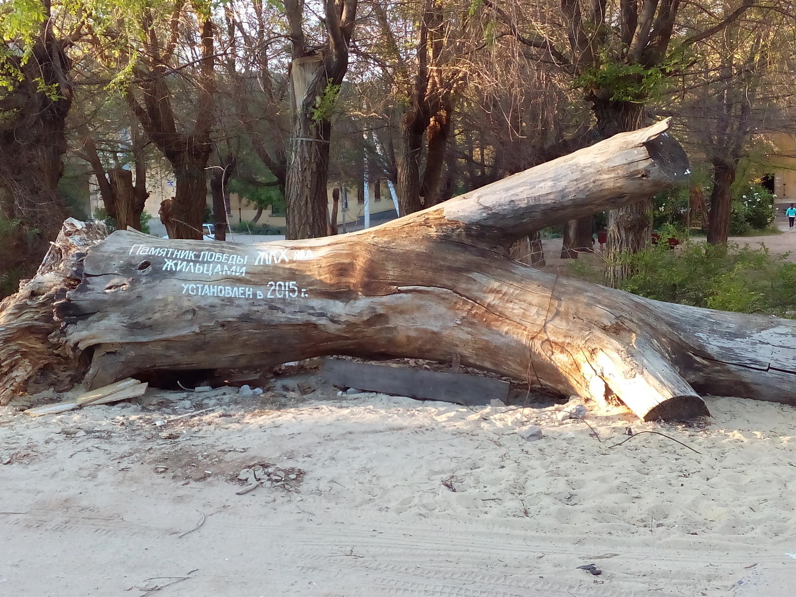 Monument miraculous... - My, Housing and communal services, Tree, Monument