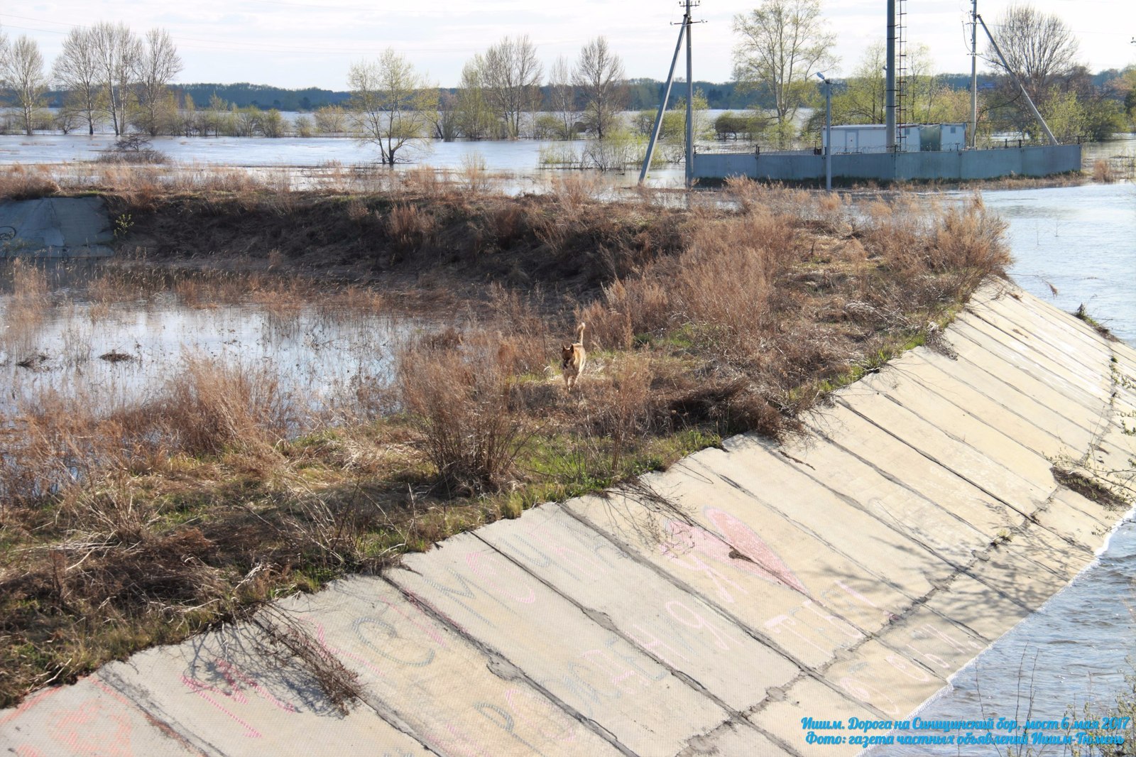 Паводок город Ишим, всё хуже...9м 64см - Моё, Паводок ишим, Тонем, Паводок2017, Длиннопост, Паводок