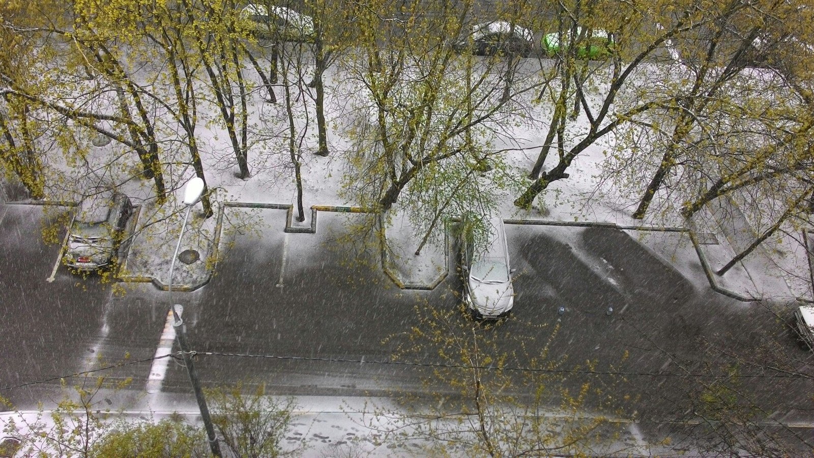 May 8 in Moscow - My, Spring, Snow, Moscow, Weather, Bad weather