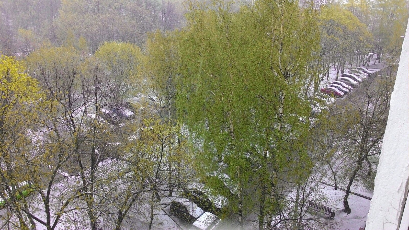 May 8 in Moscow - My, Spring, Snow, Moscow, Weather, Bad weather