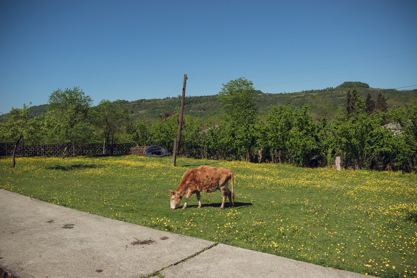 ITABUP, ABKHAZIA! - My, Abkhazia, Apsny, Travels, Vacation, Gudauta, Road trip, Tourism, Longpost