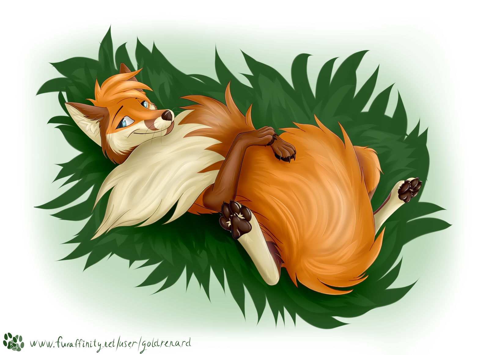 Tail - My, Furry, Feral, Fox, Grass, Tail, 