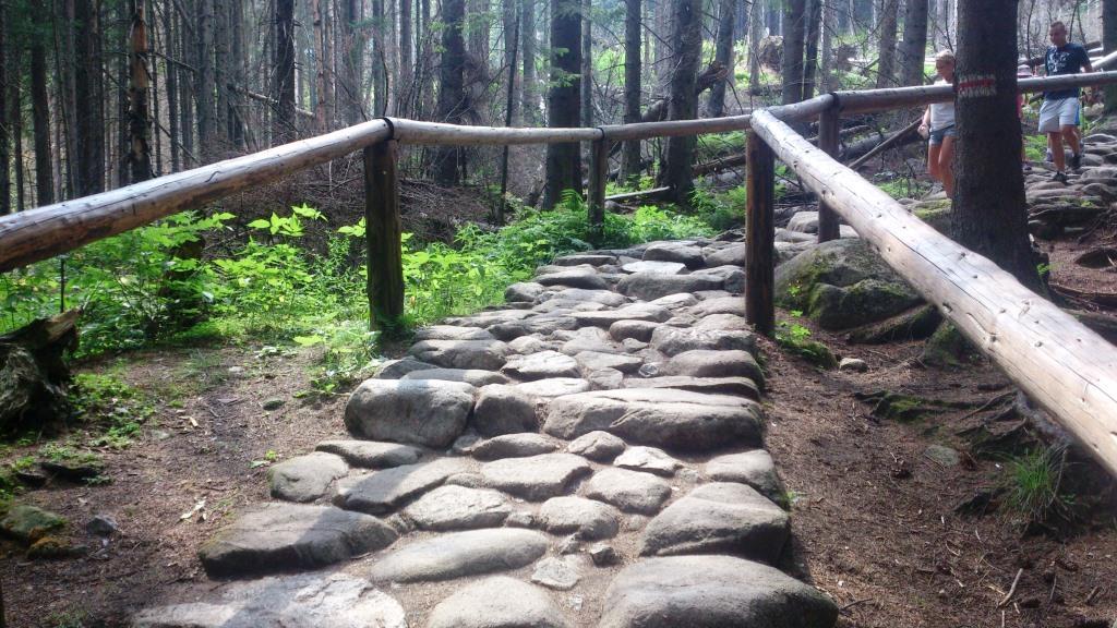 Tatrzanski park and Morskie Oko lake. Part III - Nature, Travels, Longpost