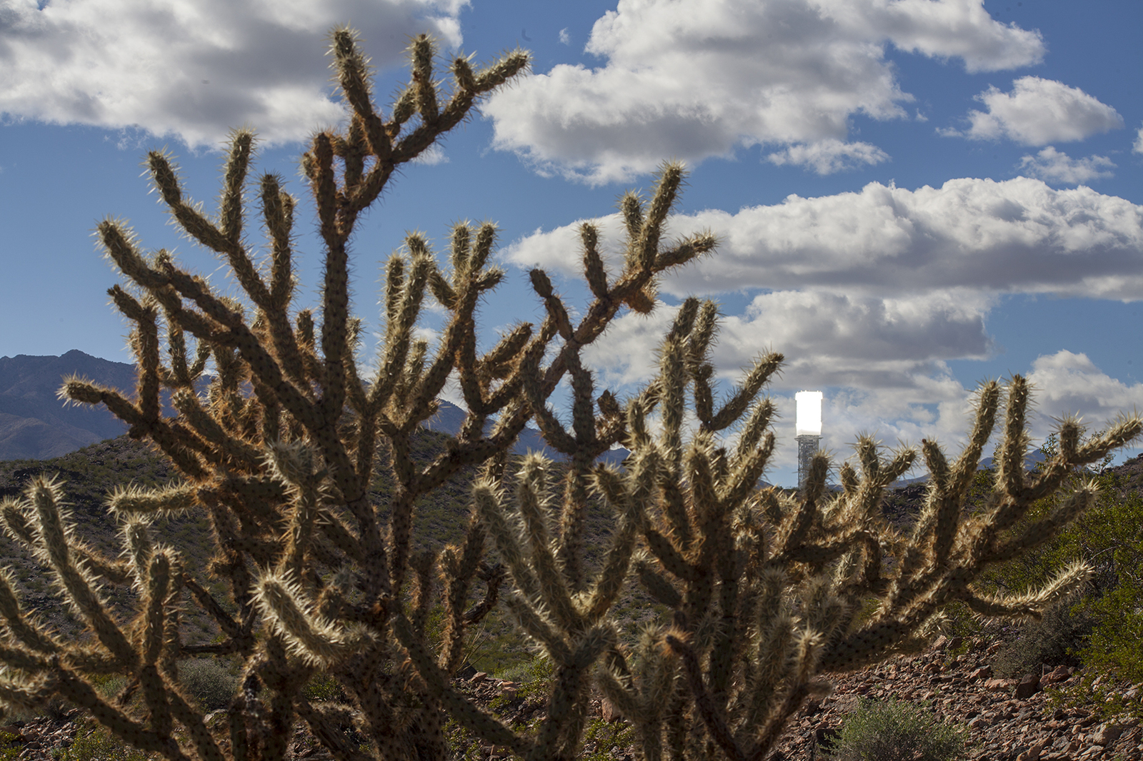 Ivanpah - My, California, Standartstudio, Energy, , , Longpost