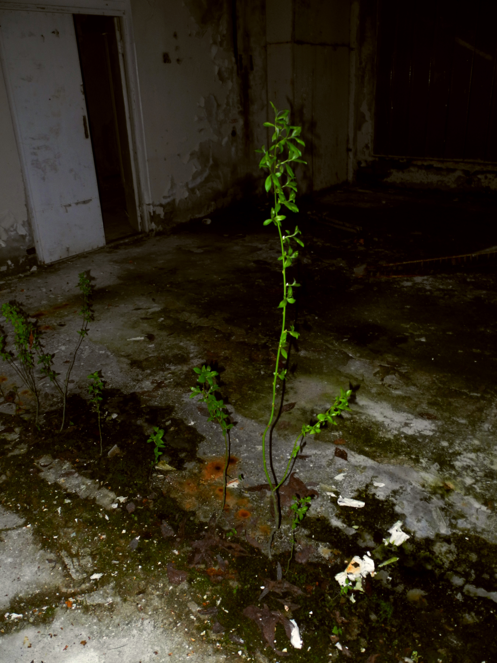 OKB plant Agat: the first acquaintance with the ghost of a bygone era - My, Urbanfact, Kstovo, Abandoned, Factory, Urbanturism, Urbantrip, Longpost