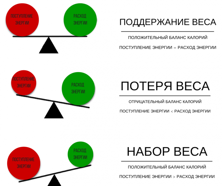 Как же все-таки похудеть? - Моё, Спорт, Тренер, Питание, Программа тренировок, Похудение, Калории, Спортивные советы, Длиннопост