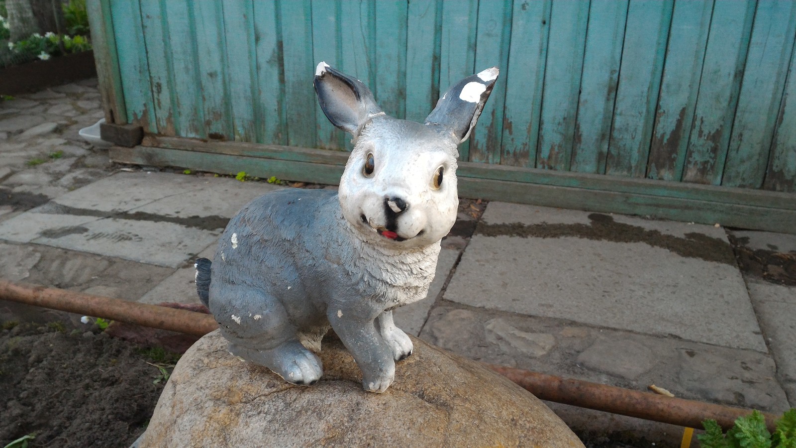 Hare in the garden gnawed by mice - My, , Garden