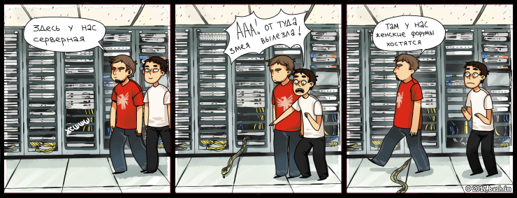 case in the server room - Server, Women's Forum, Comics, IT, Bash im, Lin