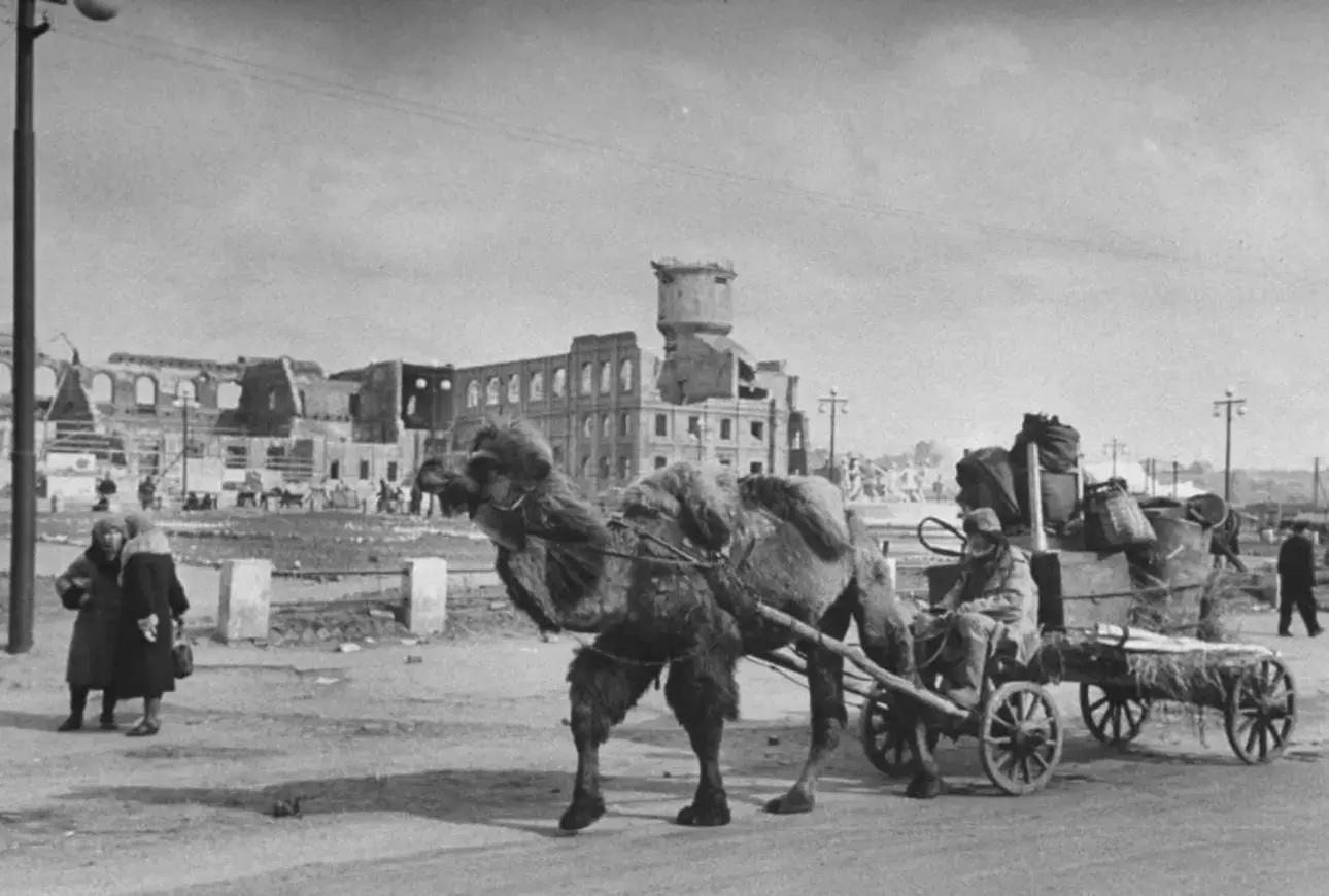 Несколько интересных случаев во времена Второй Мировой Войны - Вторая мировая война, Факты, История, Длиннопост