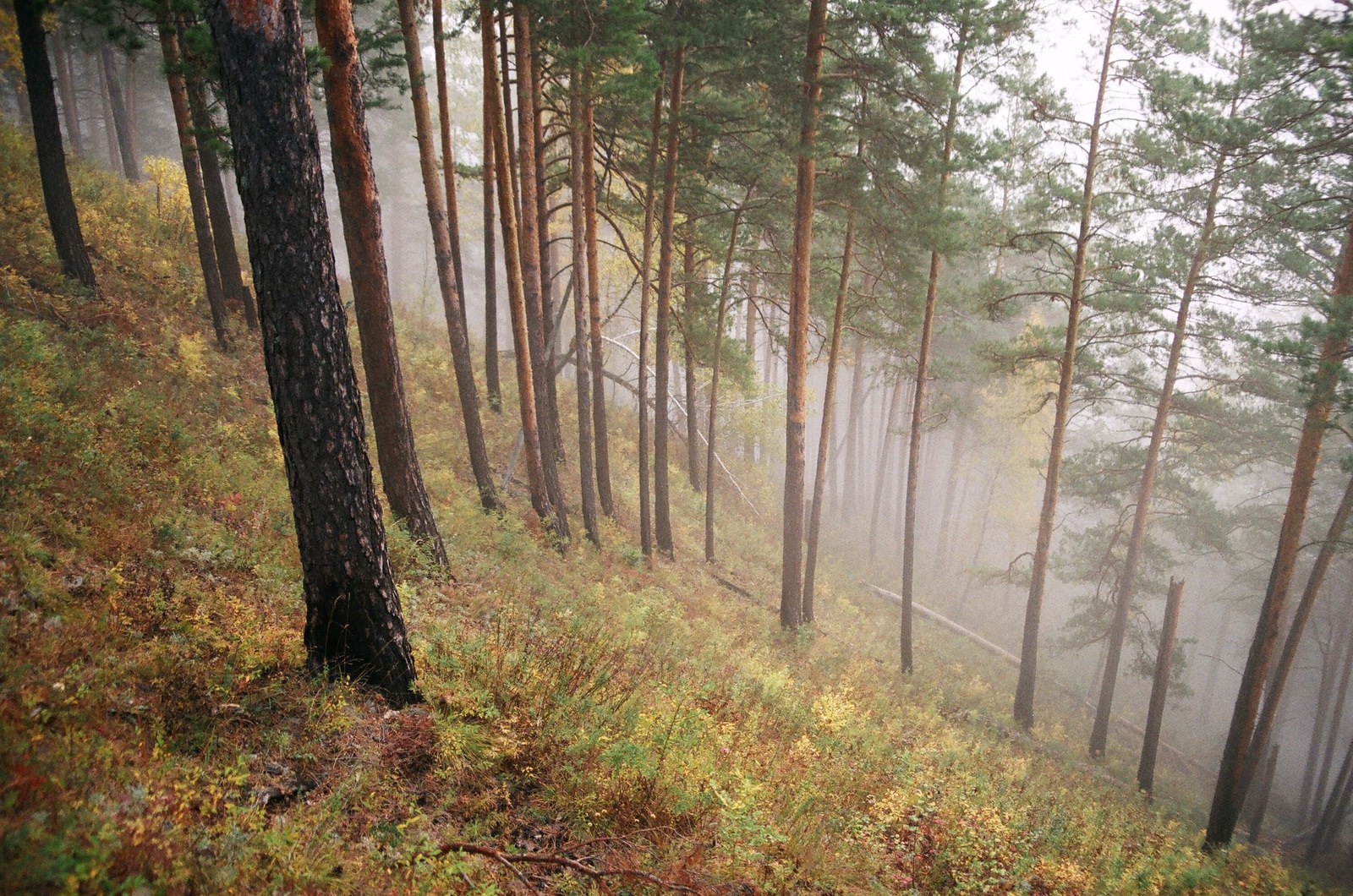 Человек с фотоаппаратом - Фотография, Природа, Кадр, Фотопленка, Фотограф, Длиннопост