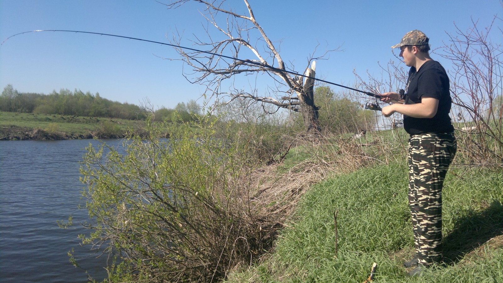 May feeder in tandem on the Upa River - My, Fishing, Feeder, Gustera, Carp, Longpost, Video