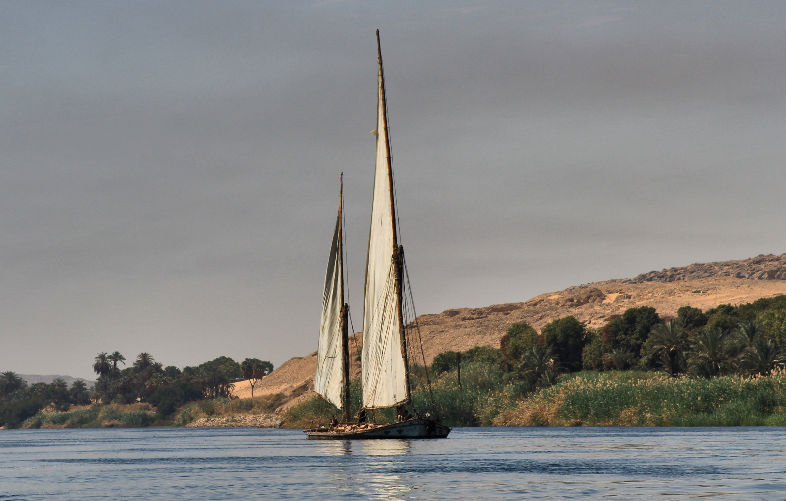 Nile motifs - My, Egypt, Nile, River, Longpost