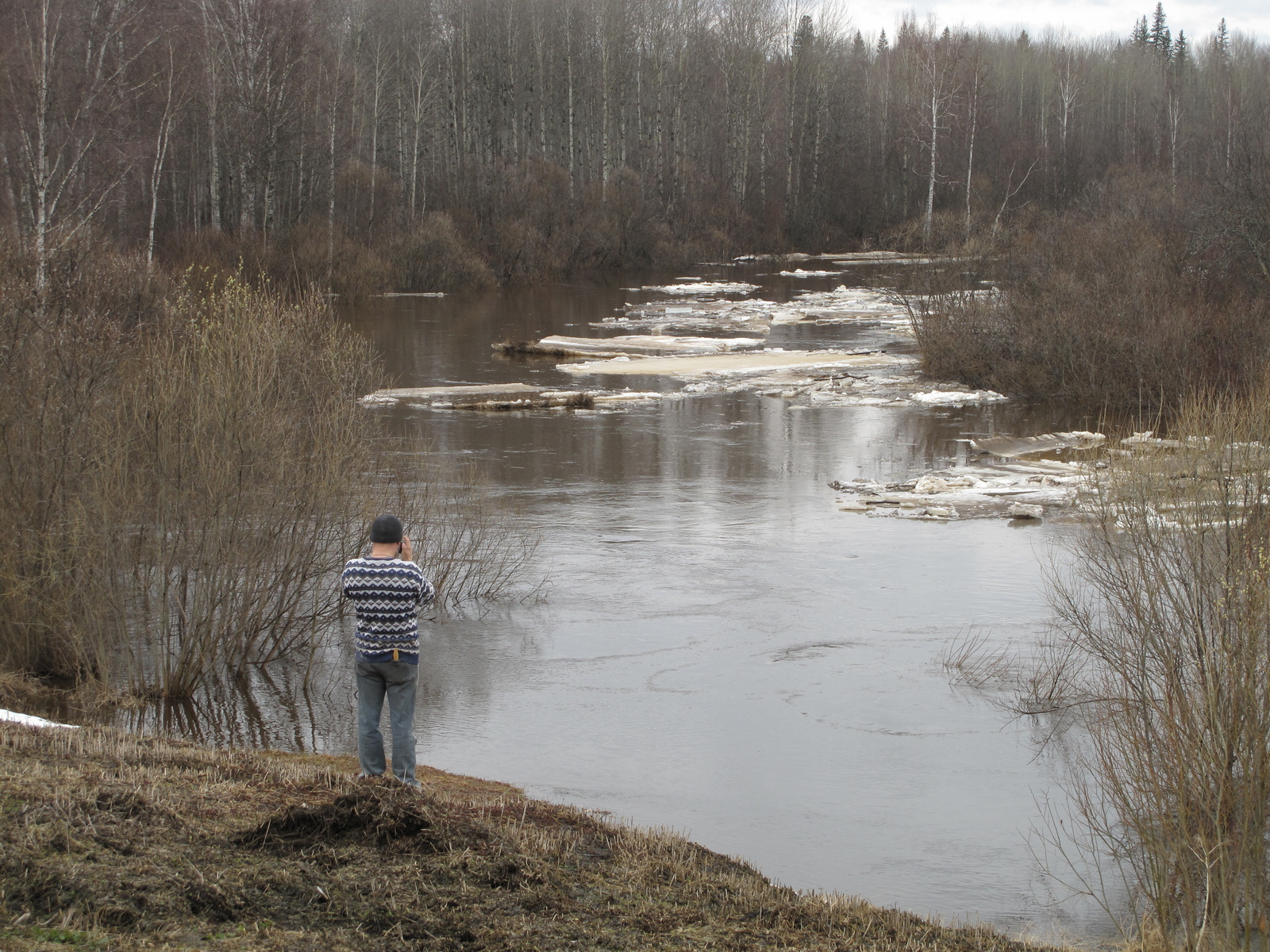 How I went to the zaimka (in the taiga) to make furniture, the beginning (part 1) - My, Furniture, Tomsk, Bear, Zaimka, , Longpost, The Bears