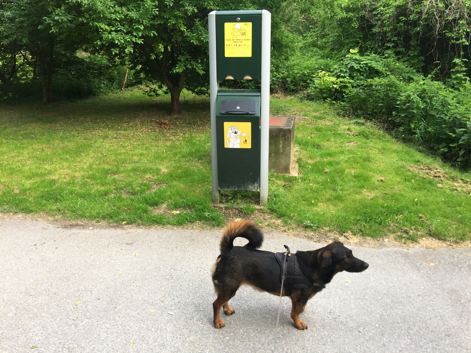 Life in Austria. Typical regional town - My, Austria, Living abroad, Longpost