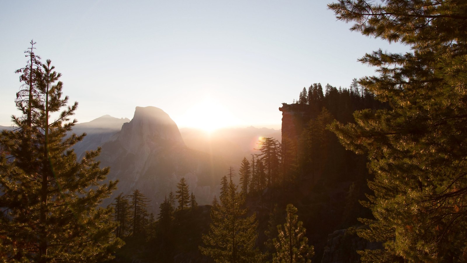 Liberty - Nature, Liberty, Forest