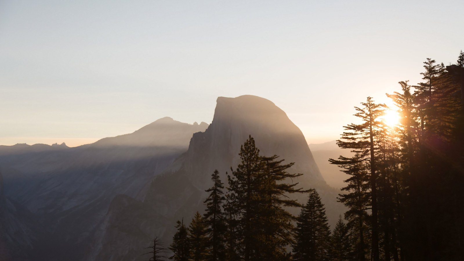 Liberty - Nature, Liberty, Forest