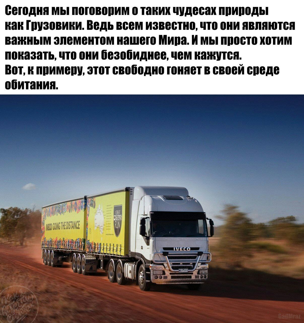 Trucks - Truck, Facts, The photo, Longpost