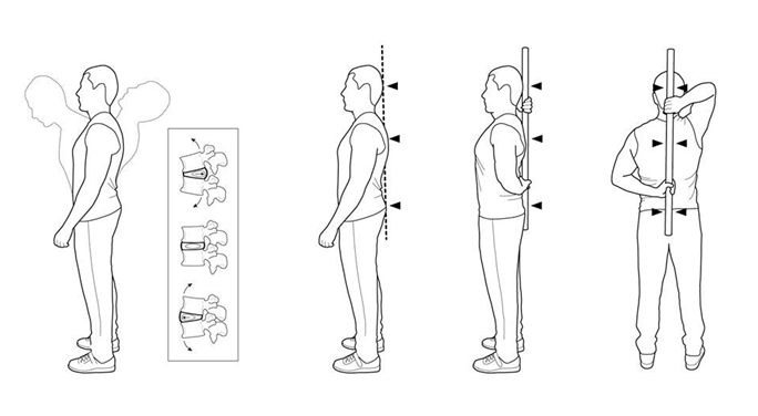 Neutral spine position - My, Sport, Тренер, Training program, Physical Education, Health, Spine, Lordosis, Sports Tips, Longpost