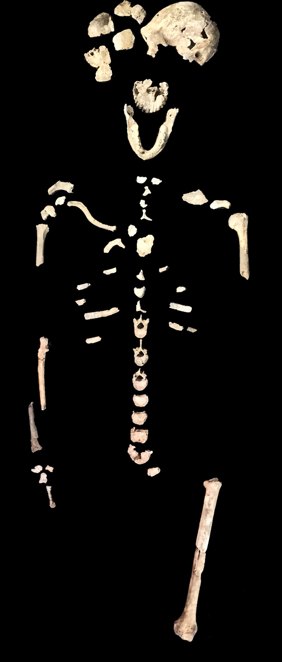 Леседи – новые наледи - Антропогенез, Антропогенез ру, Homo naledi, Ли Бергер, Наука, Длиннопост