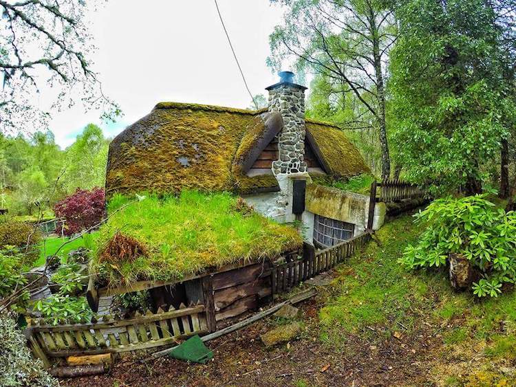 20 years of living in a hobbit house - House, Lord of the Rings, Tolkien, Fans, Longpost