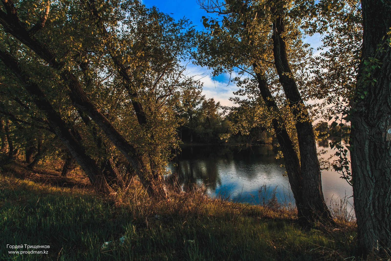 Evening on the lake - My, The photo, Landscape, Kazakhstan, Uralsk, Canon, Lake, Forest, Longpost