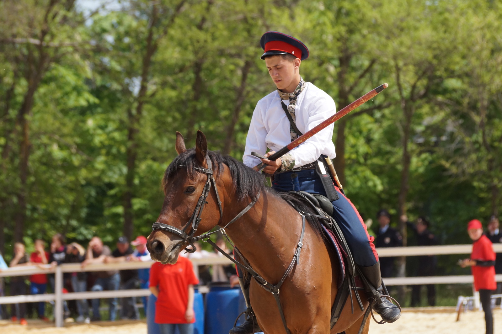 All-Russian Cup in Dzhigitovka - My, Horses, Horses, Dzhigit, The photo, Longpost